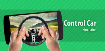 Car Driving Simulator