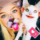 Animal Face Swap - Photo Editor APK