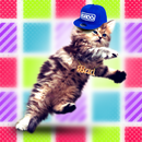 Cats Dancers. Retro Disco-APK