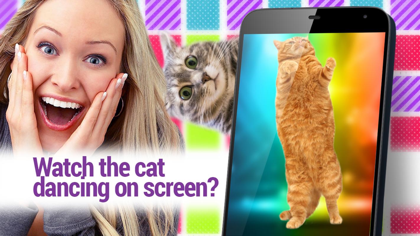 cats dancers retro disco apk download free arcade game for