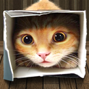 Find spot missing cat APK