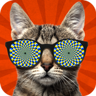 Icona Cat Hypnosis 2. Simulator