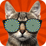 Cat Hypnosis 2. Simulator Zeichen