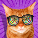 Cat Hypnosis. Simulator APK