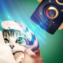 Pet Stunner Simulator APK