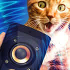 آیکون‌ Pet Spook Simulator