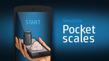 Pocket escalas simulador imagem de tela 3