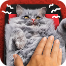 Rub a cat. Game APK