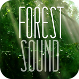 FOREST SOUND - Sound Therapy