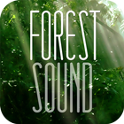 FOREST SOUND - Sound Therapy icono