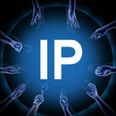 What is my IP? APK