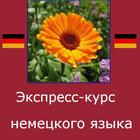 Немецкий язык. Экспресс-курс biểu tượng