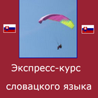 Словацкий язык. Экспресс-курс icon