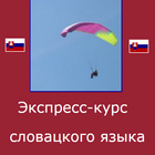 Словацкий язык. Экспресс-курс icono