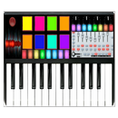 真正的器官 APK
