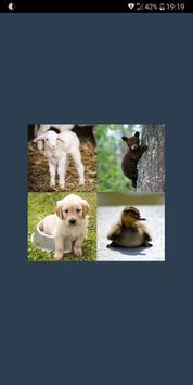 Bébés Animaux Apprenez Tous Leurs Noms For Android Apk