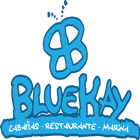 BlueKay Voluntários आइकन