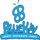 BlueKay Voluntários 圖標