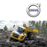 The Living Digital Library