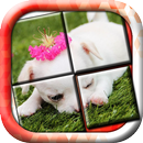 Puppy Slide Puzzle: free cute puppy puzzle game APK