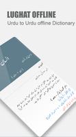 Urdu Lughat Offline -Urdu to Urdu Dictionary capture d'écran 1