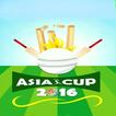 T 20 Cup 2016