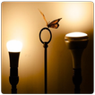 Light Decoration