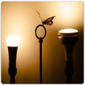 Light Decoration