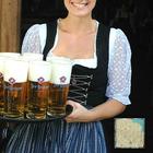 Führer zu Münchner Biergärten icône