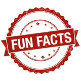 Fun Facts 图标