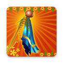 Marathi Festival Food APK