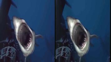 Wild Sharks VR poster
