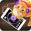 DJ Cat Echt Simulator