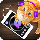 DJ Cat Real Simulator APK