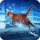 Floating Underwater Cat Free APK
