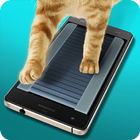 Running Track Cat Simulator simgesi