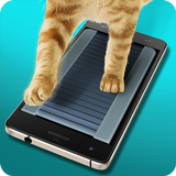 Running Track Cat Simulator APK