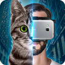 猫の目のVRヘルメットハウス APK