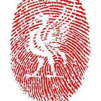 برنامه‌نما Liverpool Flappy عکس از صفحه