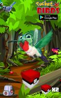 Pocket Birds Go! poster