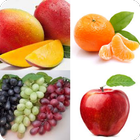 Fruits Quiz أيقونة