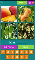 Poster Fruits Quiz