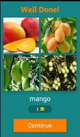 برنامه‌نما Fruits Quiz عکس از صفحه
