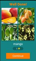 Fruits Quiz screenshot 1