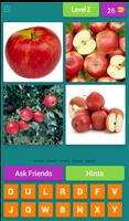 Fruits Quiz تصوير الشاشة 2