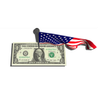 US Flag AR - Works /w Dollar icon
