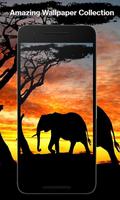 Shadow Wallpapers ภาพหน้าจอ 2