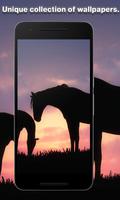 Shadow Wallpapers ภาพหน้าจอ 3
