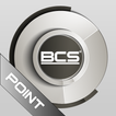 ”BCS Point Analog