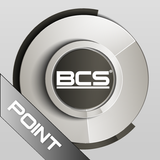 BCS Point Analog アイコン